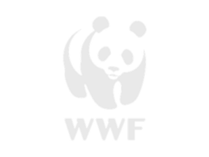 Logo de WWF, partenaire de Callifly